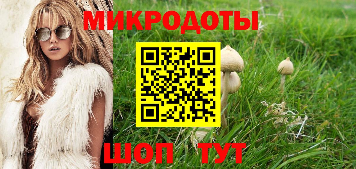 Галлюциногенные грибы Psilocybe  Вход с VPN  Видное 