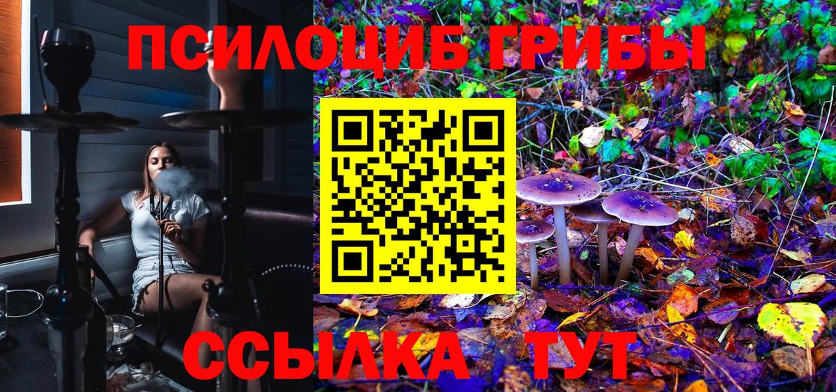 Галлюциногенные грибы Cubensis Видное